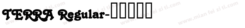 TERRA Regular字体转换